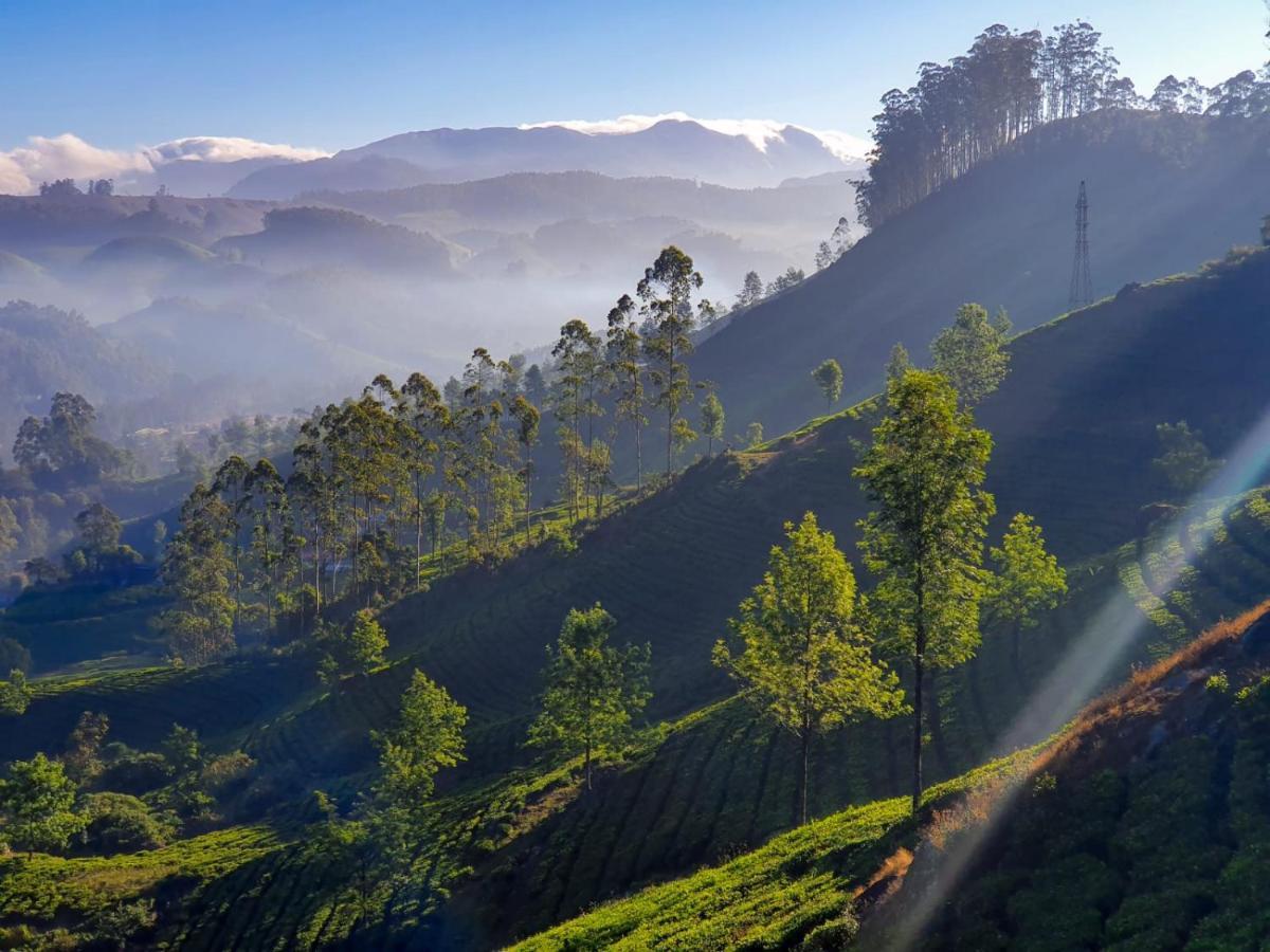 Grace Inn Munnar Homestay Luaran gambar